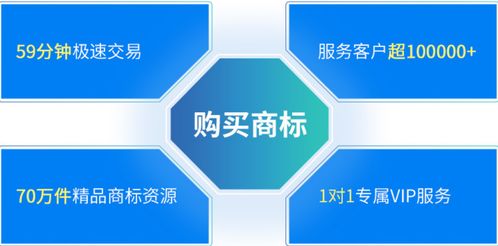 商标转让流程解析与知识产权服务优势
