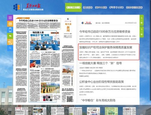 黑龙江日报 加强知识产权司法保护 服务保障高质量发展
