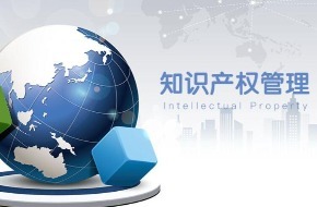 构建知识产权管理与服务体系的关键路径与价值体现
